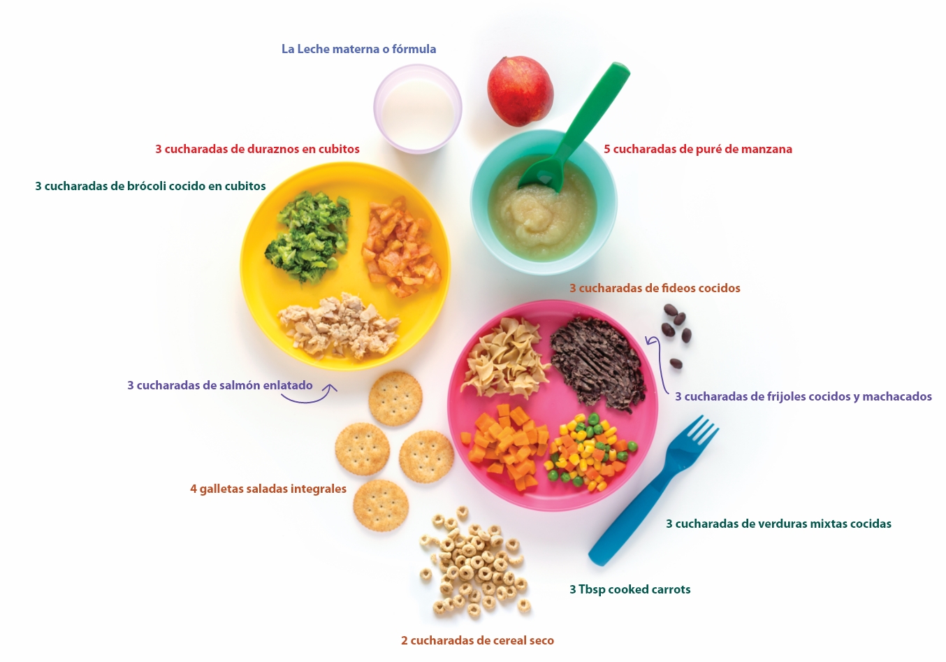 10-12 Month Proteins