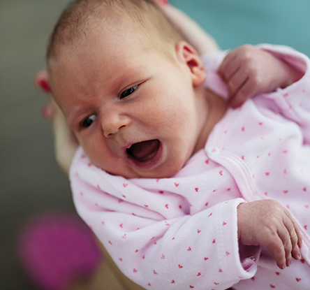 Turning head seeking/rooting