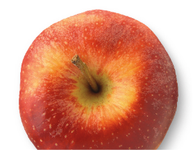 Fresh whole apple