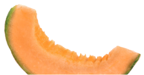 Slice of ripe cantaloupe with bite marks.